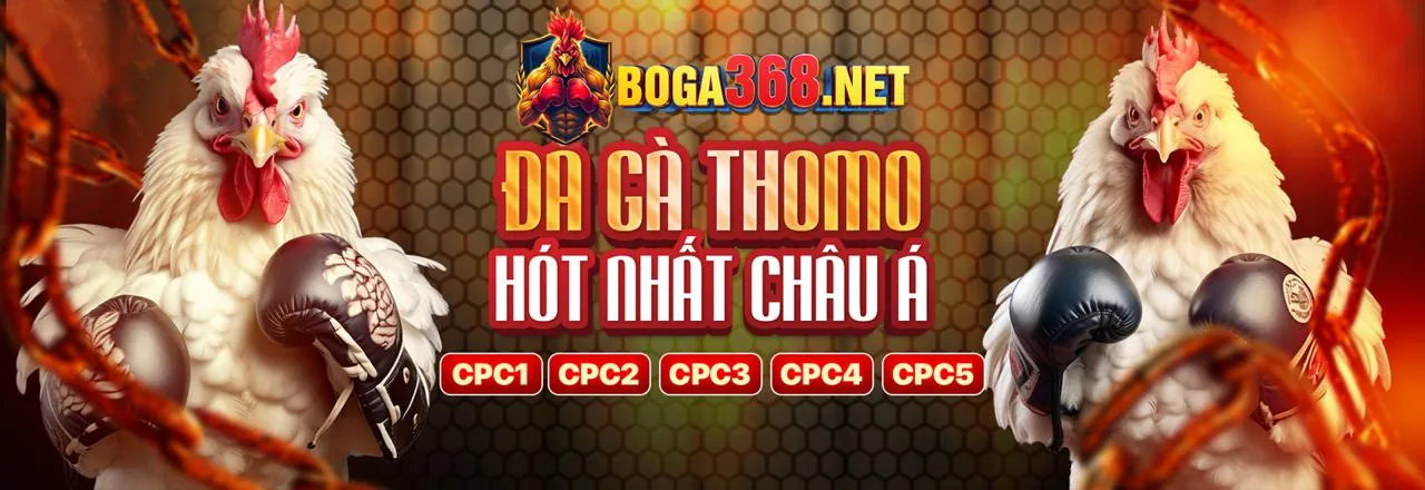 mcw18 app Hướng Dẫn Người Mới